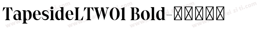 TapesideLTW01 Bold字体转换